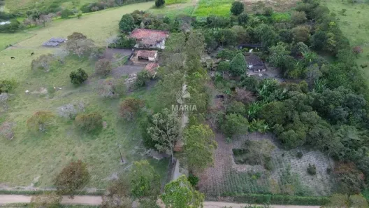 Fazenda/Sítio com 4 Quartos à venda, 264m² no , Sairé