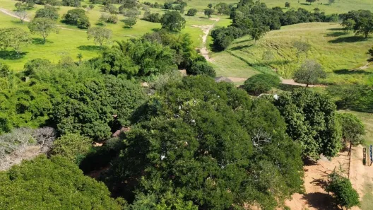 com 2 Quartos à venda, 250m² no , Vila Propício