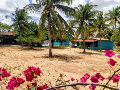 Fazenda/Sítio com 3 Quartos à venda, 400m² no Pium, Nísia Floresta