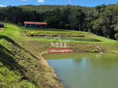 Fazenda/Sítio à venda, 1m² no Centro, Goianésia