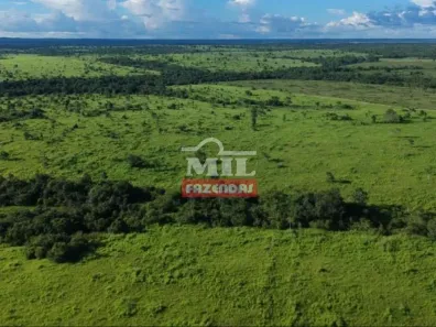Fazenda/Sítio à venda, 2201m² no Nova Brasilene, Colinas do Tocantins