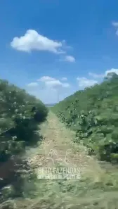 Fazenda/Sítio à venda, 30976000m² no Área Rural de Alfenas, Alfenas