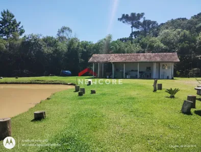 Fazenda/Sítio com 2 Quartos à venda, 200m² no , São José dos Pinhais