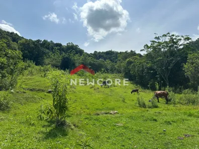 Fazenda/Sítio com 1 Quarto à venda, 170000m² no Centro, Três Coroas