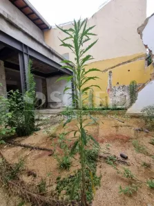 Casa com 3 Quartos à venda, 150m² no Jardim Hípico, São Paulo
