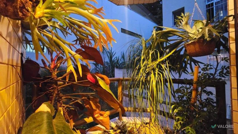 Foto 8