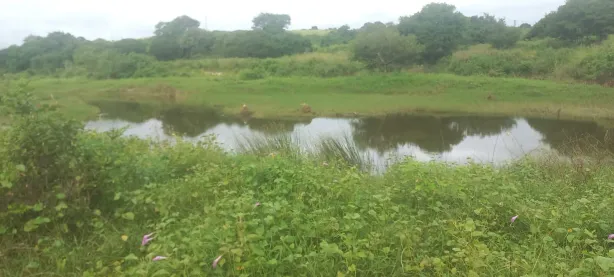 Fazenda/Sítio com 2 Quartos à venda, 120000m² no , Monte Alegre