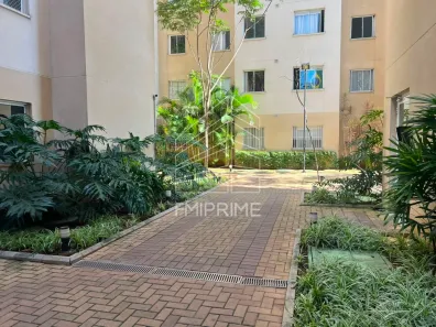 Apartamento com 2 Quartos para alugar, 33m² no Piqueri, São Paulo