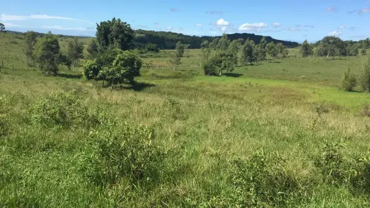 Fazenda/Sítio à venda, 2516800m² no São Vicente de Paula, Araruama