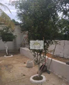 Casa com 2 Quartos à venda, 150m² no Vila Mariana, Ribeirão Preto