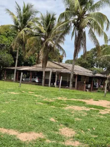 Fazenda/Sítio com 3 Quartos à venda, 123m² no , Torixoréu