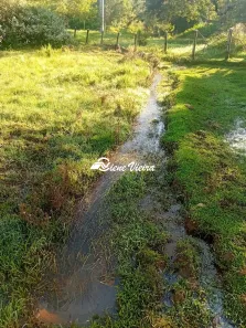 Fazenda/Sítio com 2 Quartos à venda, 18000m² no , Lagoinha