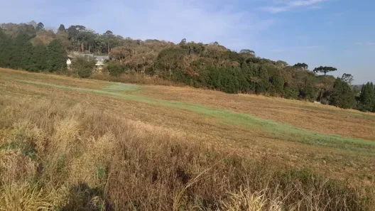 Lote/Terreno à venda, 500m² no Tijuco Preto(Caucaia do Alto), Cotia