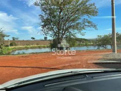 Fazenda/Sítio à venda, 1001m² no Centro, Uberlândia