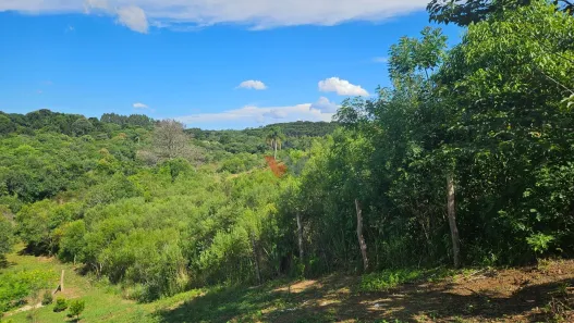 Fazenda/Sítio com 1 Quarto à venda, 7000m² no , Contenda