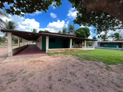 Fazenda/Sítio com 3 Quartos à venda, 350m² no Zona Rural, São José de Mipibu
