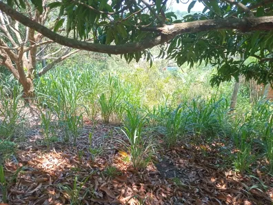 Lote/Terreno à venda, 360m² no Caxito, Maricá
