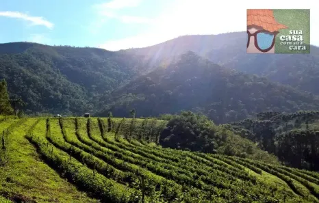 Fazenda/Sítio com 1 Quarto à venda, 100m² no Franceses, Carvalhos