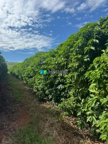 Fazenda/Sítio com 1 Quarto à venda, 160m² no Centro, Capitólio