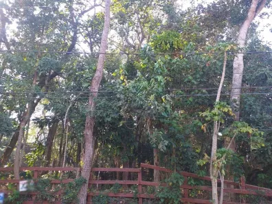 Lote/Terreno à venda, 300m² no Vila Diva, Carapicuíba