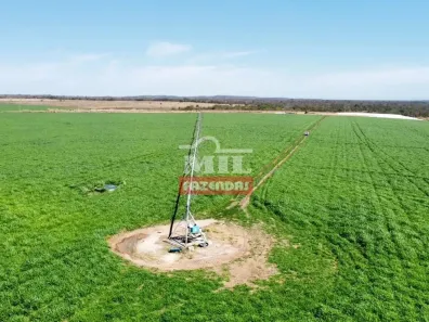 Fazenda/Sítio à venda, 500m² no Zona Rural, Alvorada do Norte