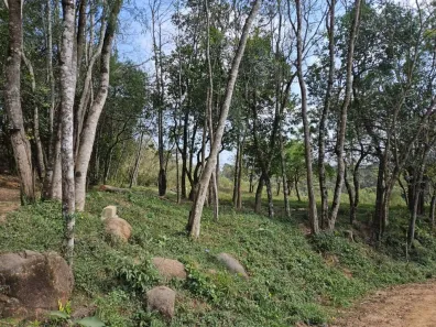 Lote/Terreno à venda, 24509m² no Colônia Antônio Prado, Almirante Tamandaré