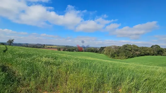 Fazenda/Sítio com 1 Quarto à venda, 20000m² no Área Rural de Araucária, Araucária