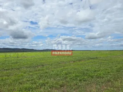 Fazenda/Sítio à venda, 500m² no , Porto Franco