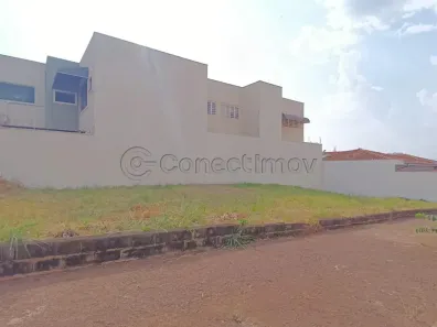 Lote/Terreno para alugar, 250m² no Nova Ribeirânia, Ribeirão Preto