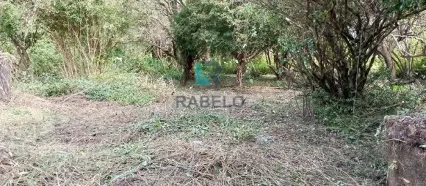 Lote/Terreno à venda, 890m² no Centro, Lorena