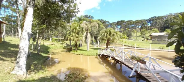 Fazenda/Sítio com 3 Quartos à venda, 418m² no , Campo Alegre