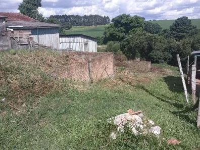 Lote/Terreno à venda, 253m² no Cará-cará, Ponta Grossa