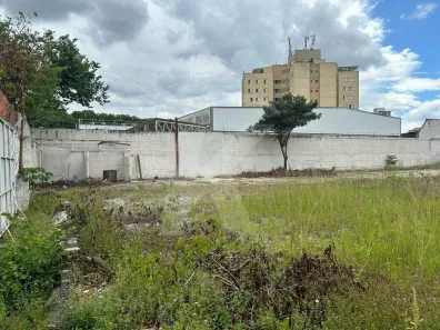 Lote/Terreno para alugar, 1600m² no Vila Guilherme, São Paulo