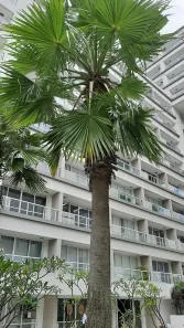 Sala Comercial com 1 Quarto à venda, 40m² no Vila Leopoldina, São Paulo