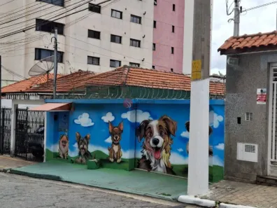Lote/Terreno à venda, 320m² no Vila Santo Estevão, São Paulo