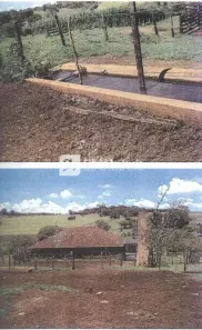 Fazenda/Sítio com 1 Quarto à venda, 10m² no Área Rural de Uberlândia, Uberlândia