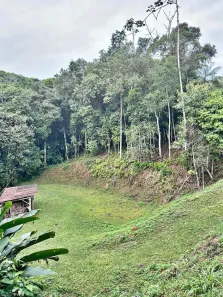 Lote/Terreno à venda, 7000m² no Centro, São Pedro de Alcântara