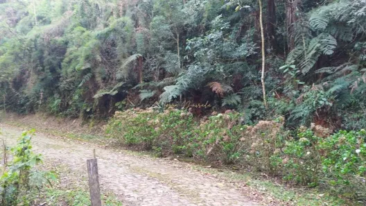 Lote/Terreno à venda, 1623m² no , Monteiro Lobato