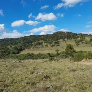 Fazenda/Sítio à venda, 65000m² no , Urupema