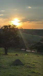 Lote/Terreno à venda, 20000m² no Cunha, Cunha