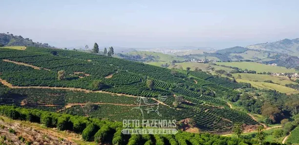 Fazenda/Sítio à venda, 1270000m² no Centro, Alfenas