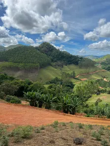 Fazenda/Sítio com 1 Quarto à venda, 10000m² no , Santa Teresa