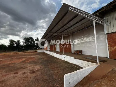 Galpão/Depósito/Armazém para alugar, 1500m² no São Jorge, Uberlândia