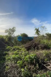 Lote/Terreno à venda, 393m² no Salgado Filho, Caxias do Sul