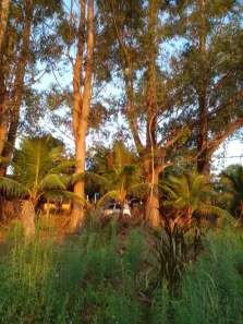 Fazenda/Sítio com 2 Quartos à venda, 2088m² no Centro, Presidente Prudente