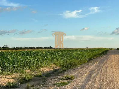 com 1 Quarto à venda, 711m² no Setor Central, Santa Fé do Araguaia