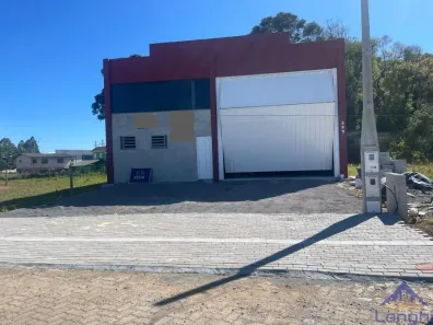 Galpão/Depósito/Armazém com 1 Quarto para alugar, 425m² no Ana Rech, Caxias do Sul