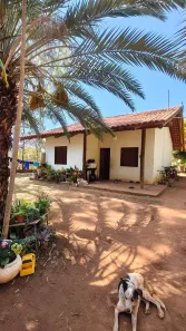 Fazenda/Sítio com 2 Quartos à venda, 20000m² no , Brasília