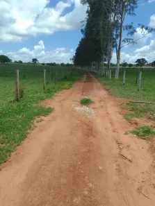 Fazenda/Sítio à venda, 300000m² no , Rochedo