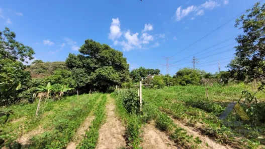 Fazenda/Sítio à venda, 3000m² no Chácara Iracema, Salto